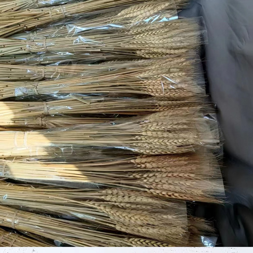 50pcs Artificial Flower Natura - огляд і ціна Dried Flower Bulk