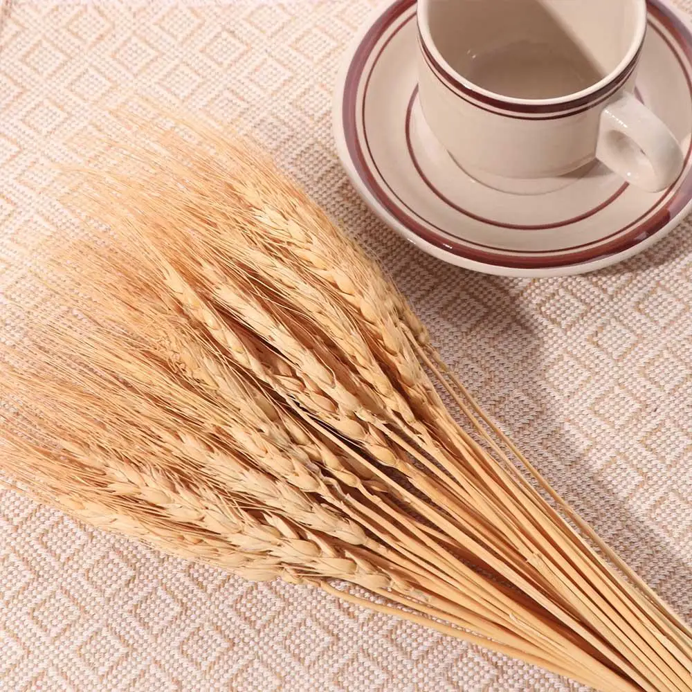 50pcs Artificial Flower Natura - огляд і ціна Dried Flower Bulk