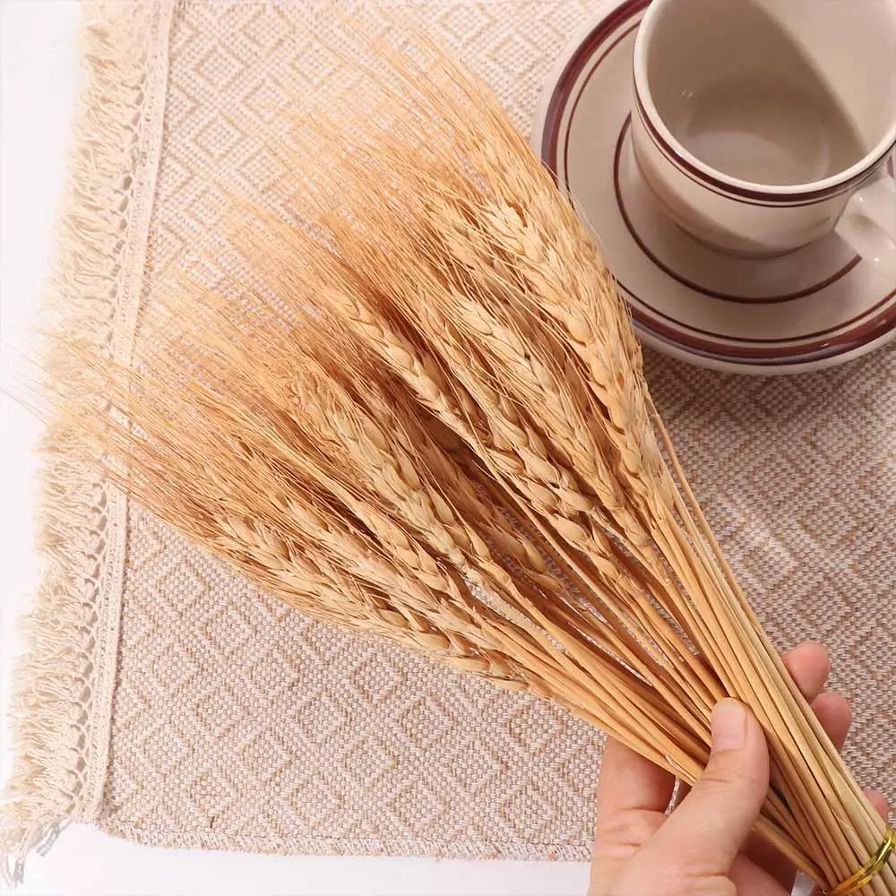 50pcs Artificial Flower Natura - огляд і ціна Dried Flower Bulk