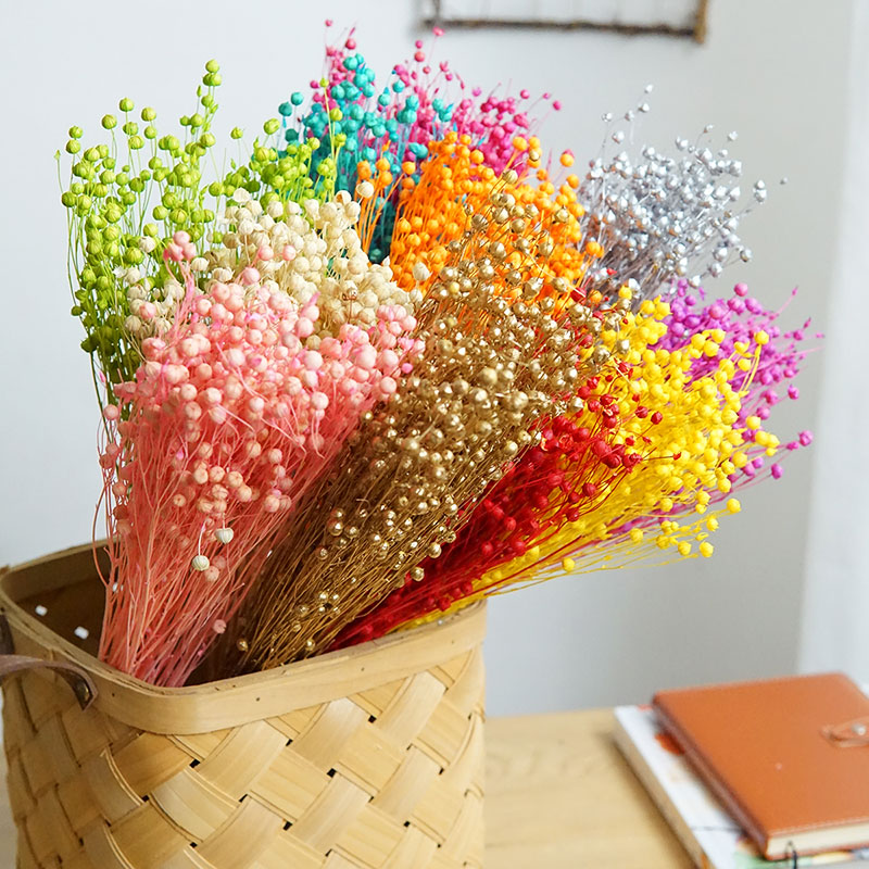 35g/Preserved Ormosia Hosiei N - огляд і ціна Dried Flower Bulk