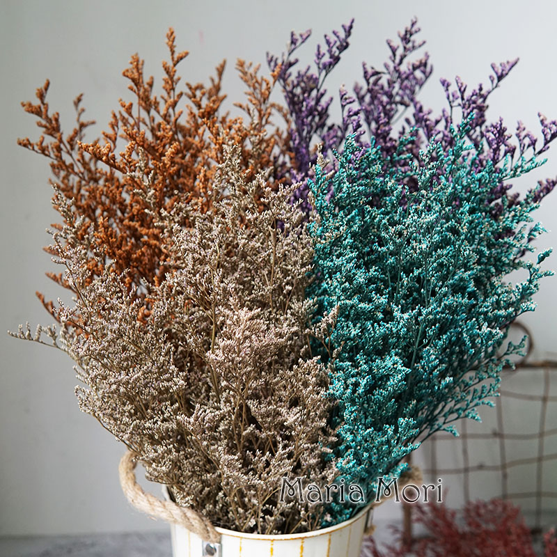 50g/Preserved Valentine's Gras - огляд і ціна Dried Flower Bulk
