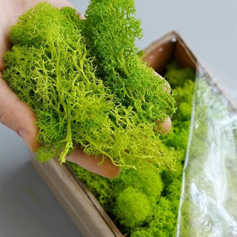 200g Artificial Green Plants M - огляд і ціна Terrarium Moss Art